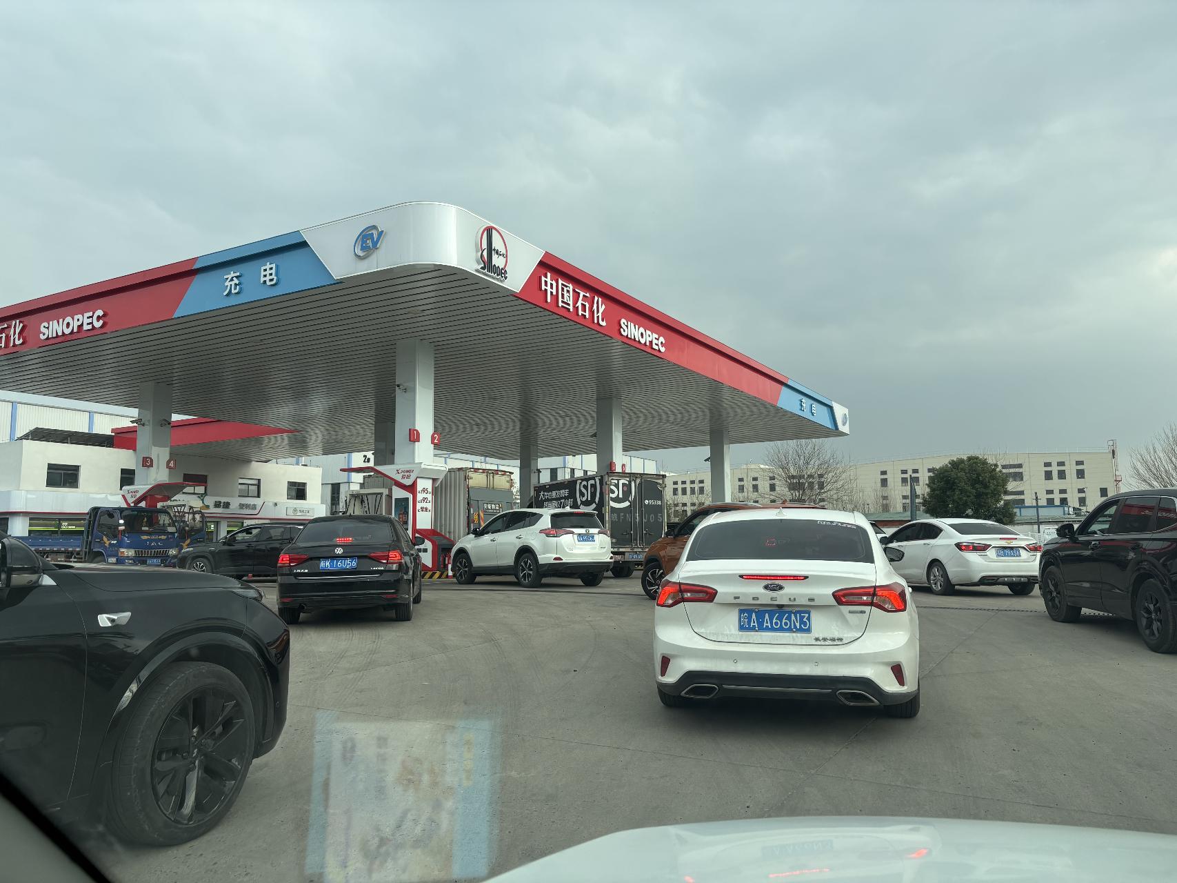 e509e25a 0e9d 4895 9c7c 85c579e6c91c.jpeg