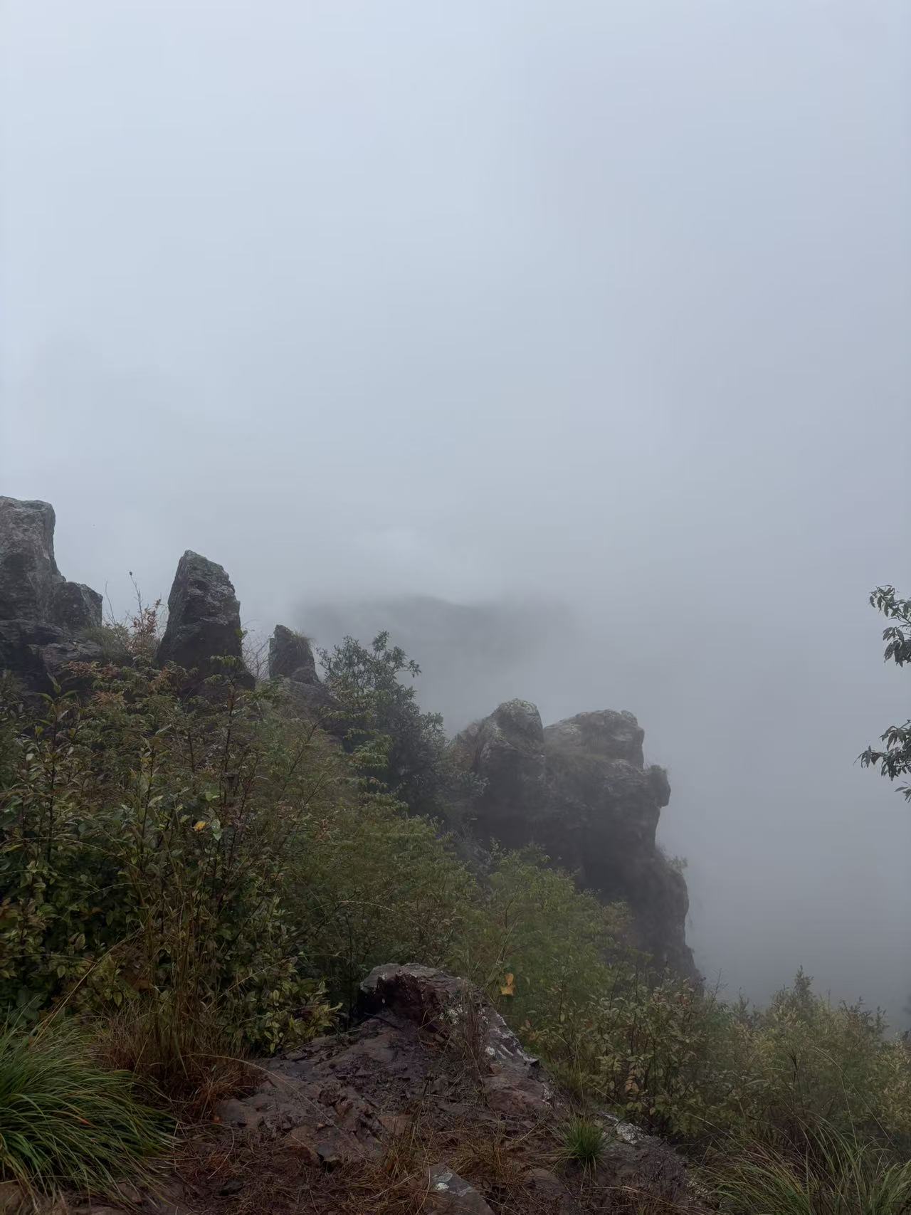 20261020215308_33_311.jpg