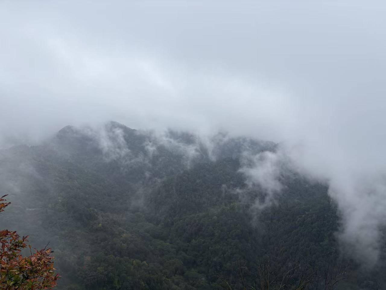 20261020215308_37_311.jpg
