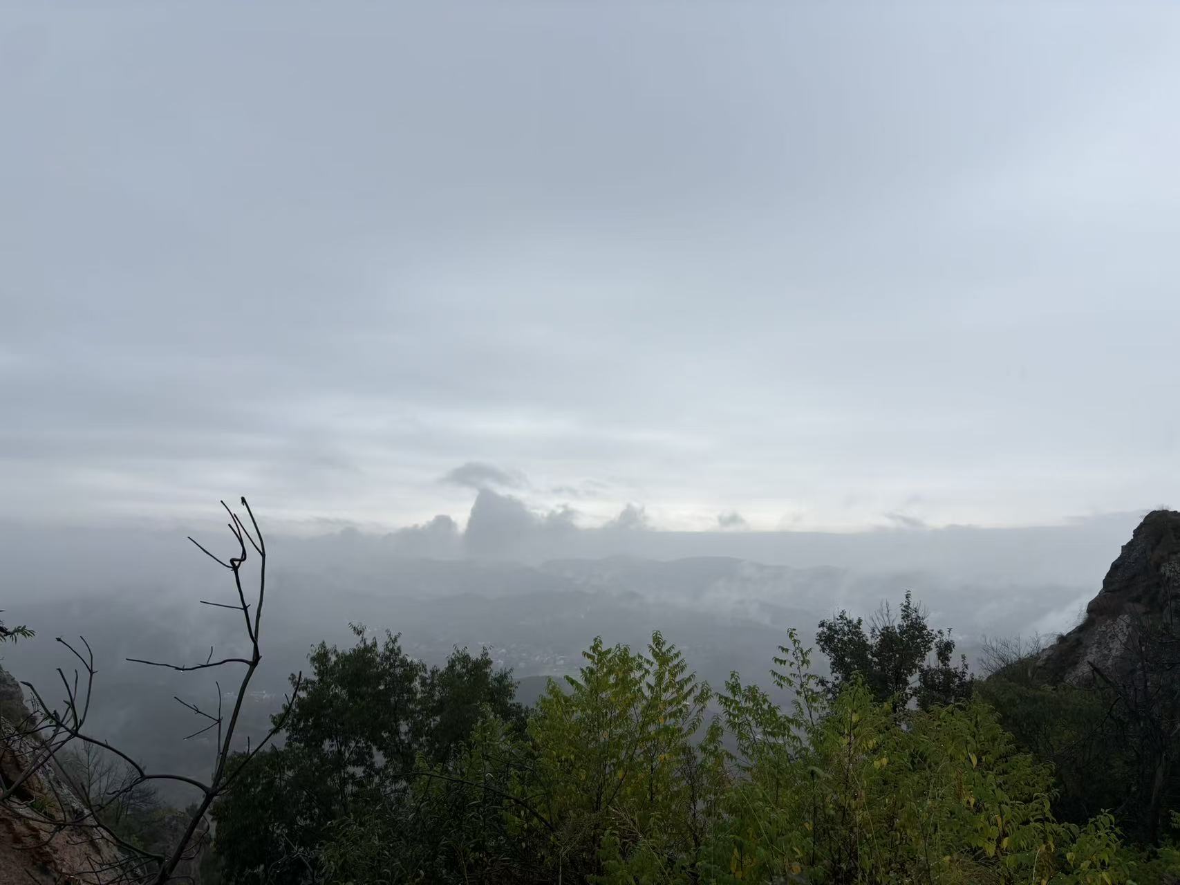 20261020215308_56_311.jpg